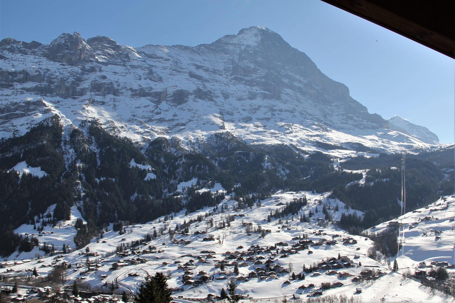Lodge - Elements Lodge Grindelwald Rom bilde