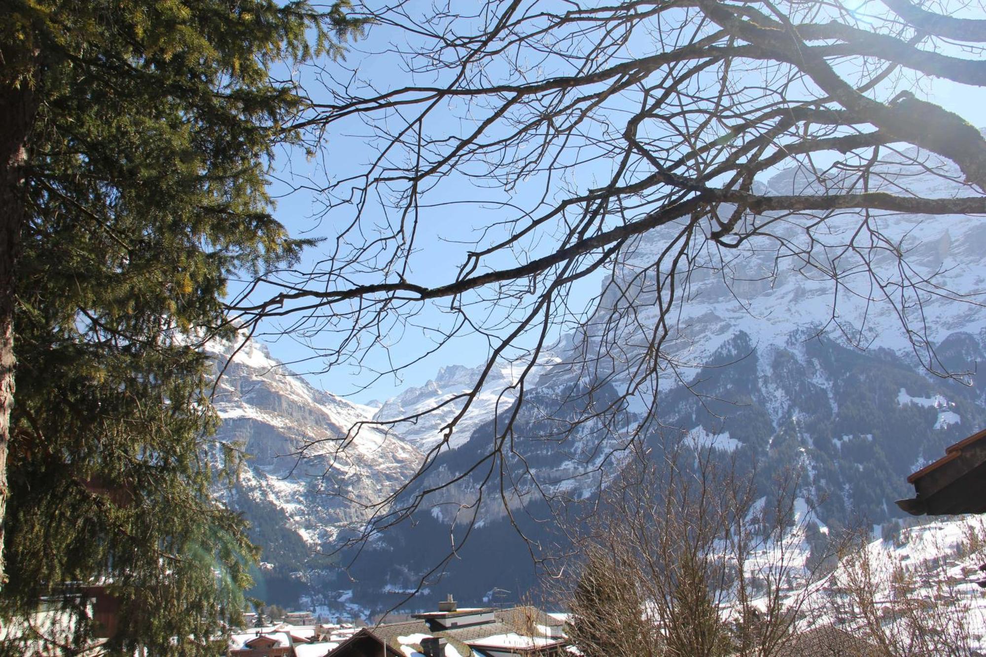 Lodge - Elements Lodge Grindelwald Eksteriør bilde
