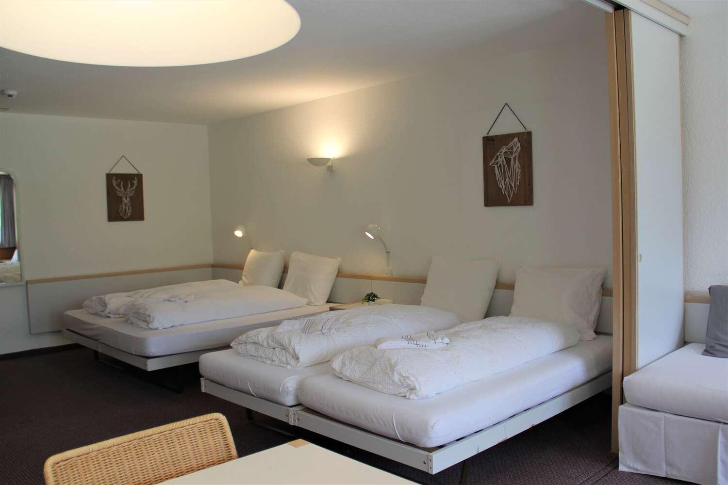 Lodge - Elements Lodge Grindelwald Rom bilde
