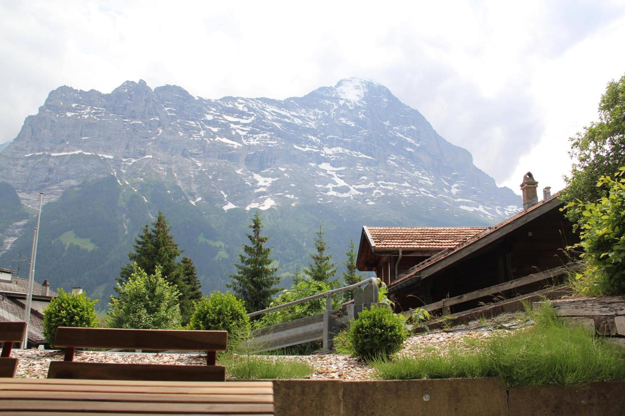 Lodge - Elements Lodge Grindelwald Eksteriør bilde